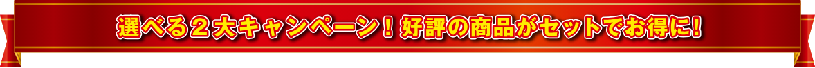 選べる2大キャンペーン!好評の商品がセットでお得に!
